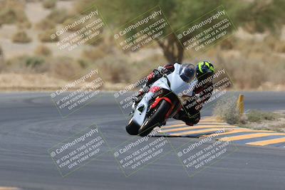 media/May-14-2023-SoCal Trackdays (Sun) [[024eb53b40]]/Turn 5 Tree of Life (1125am)/